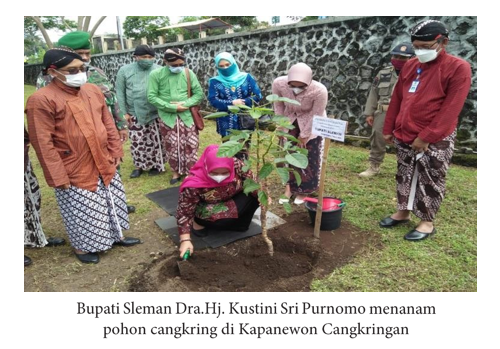 Bedhol Songsong Padukuhan Cangkringan