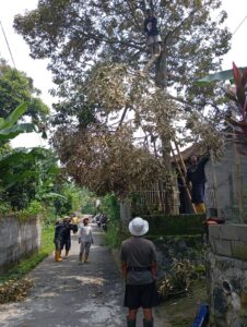 Aksi Tanggap Bencana: Pengkondisian Pohon Berbahaya di Karanglo, Argomulyo